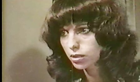 Wolf From Wall Street