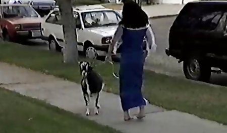 Hunchback Of Nasty Dames XXX