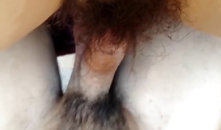 Hairy cock &amp; pussy